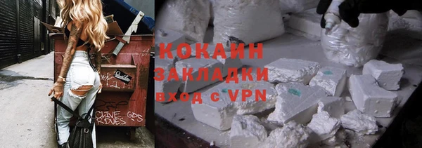 индика Дмитриев