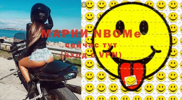 индика Дмитриев