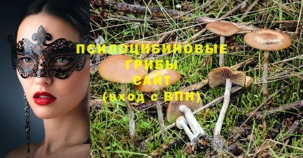 индика Дмитриев