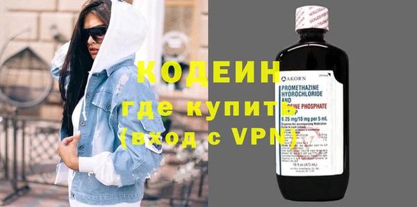 индика Дмитриев