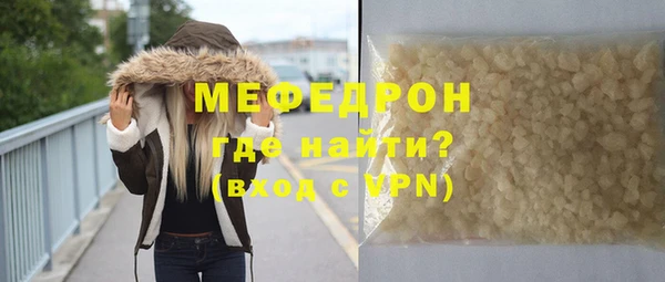 индика Дмитриев