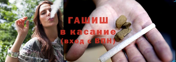 индика Дмитриев