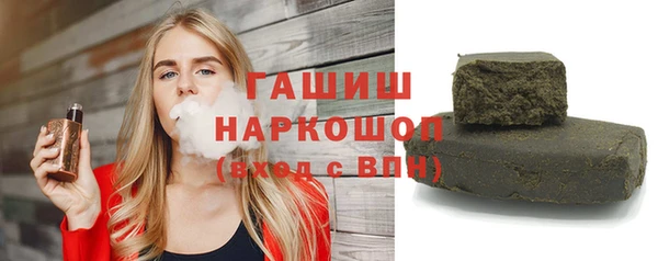 индика Дмитриев