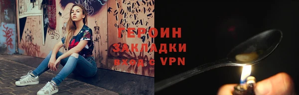 индика Дмитриев