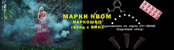 индика Дмитриев