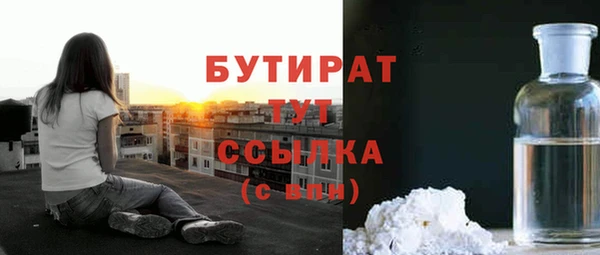 индика Дмитриев