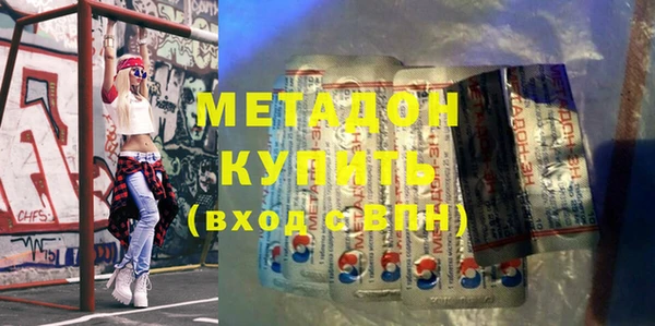 индика Дмитриев
