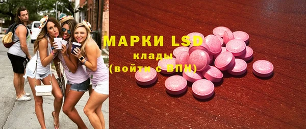 индика Дмитриев