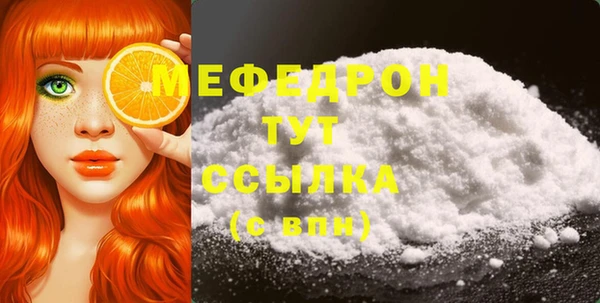 индика Дмитриев