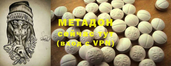 индика Дмитриев