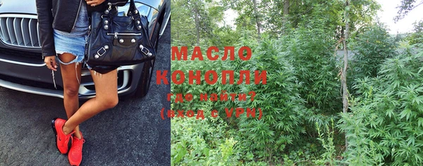 индика Дмитриев