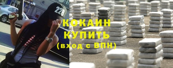 индика Дмитриев